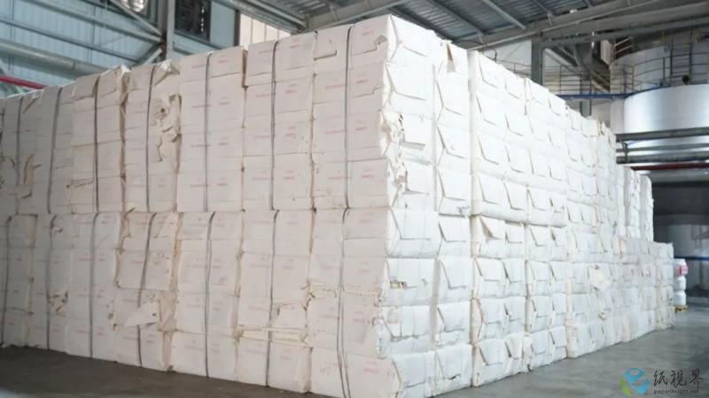 绿色引擎驱动产业集聚 中国-东盟生活用纸产业园区初具规模，年产百万吨纸浆与纸制品